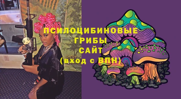 мдпв Бронницы