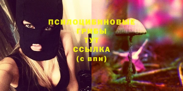 мдпв Бронницы