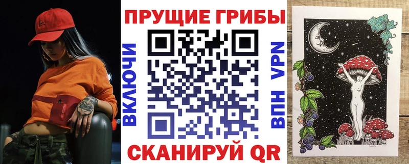 Псилоцибиновые грибы Psilocybine cubensis  Череповец 